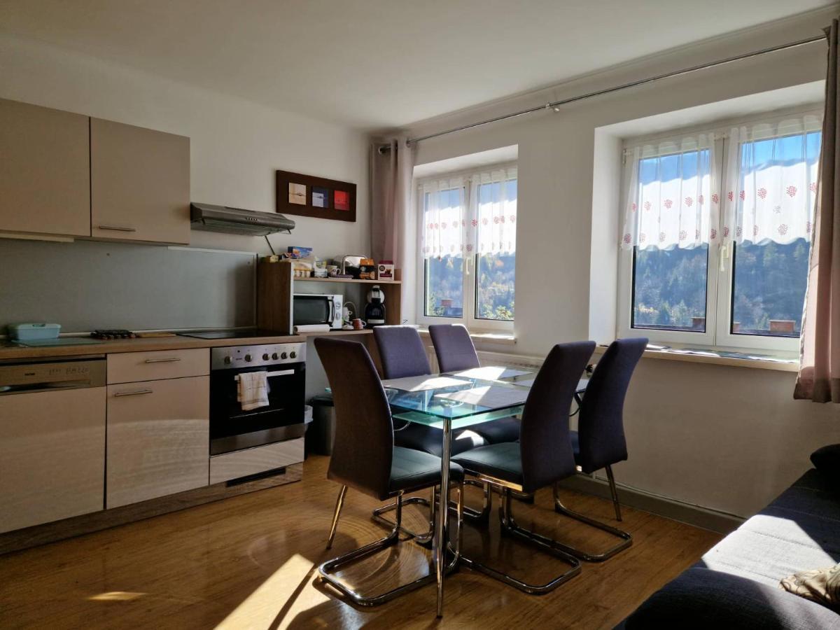 Eisenerz Stefan Apartment / Ferien Wohnung Exteriör bild